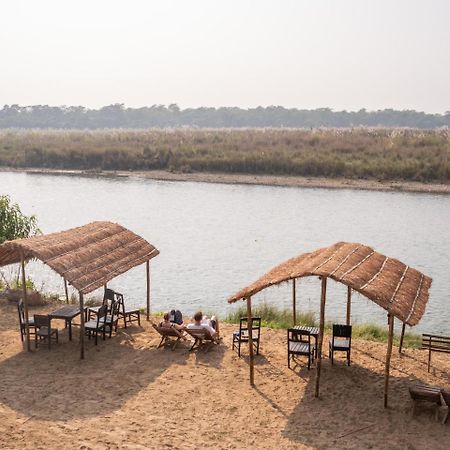 Jungle Wildlife Camp Hotel Sauraha Exterior foto