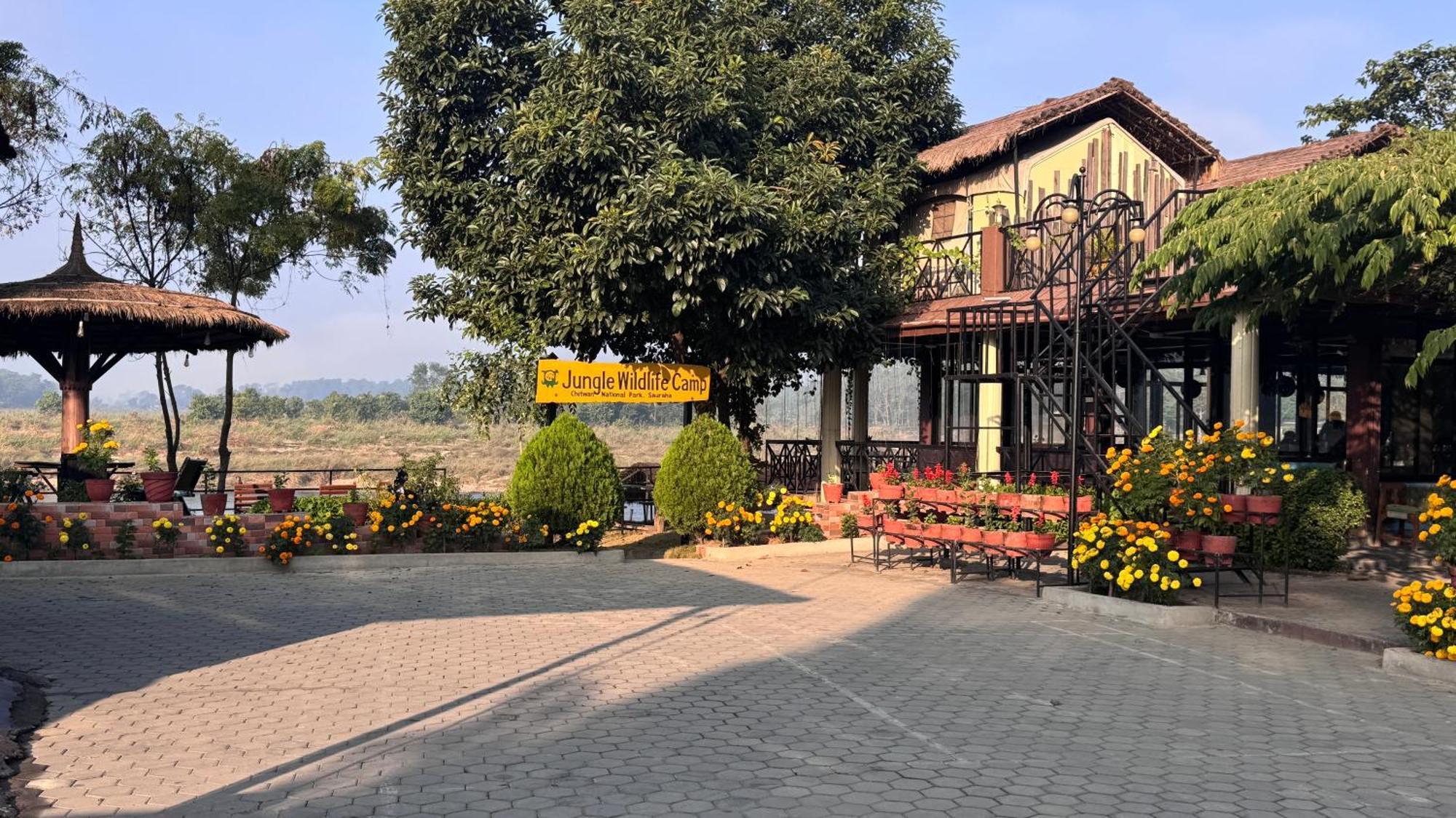 Jungle Wildlife Camp Hotel Sauraha Exterior foto