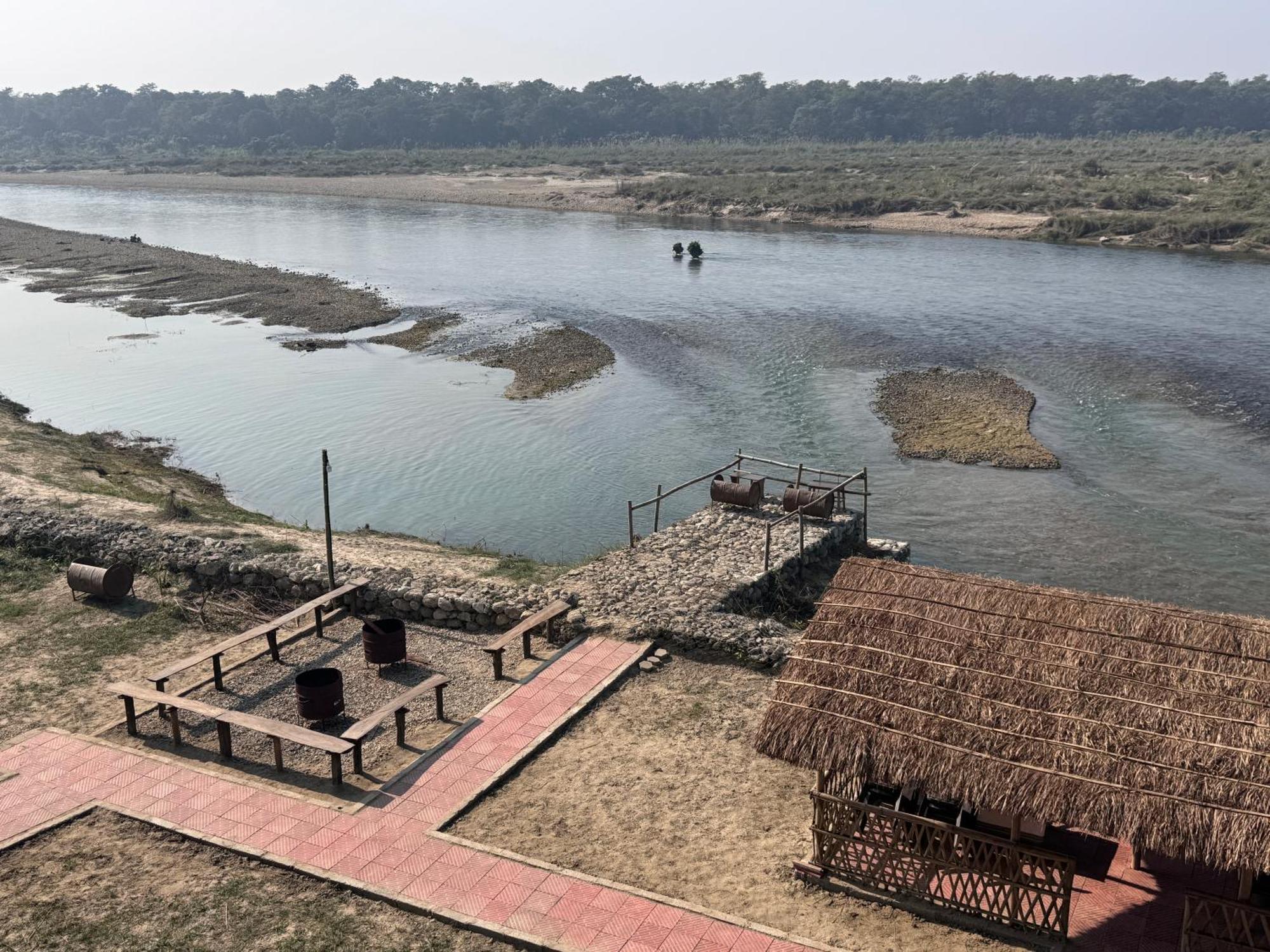 Jungle Wildlife Camp Hotel Sauraha Exterior foto