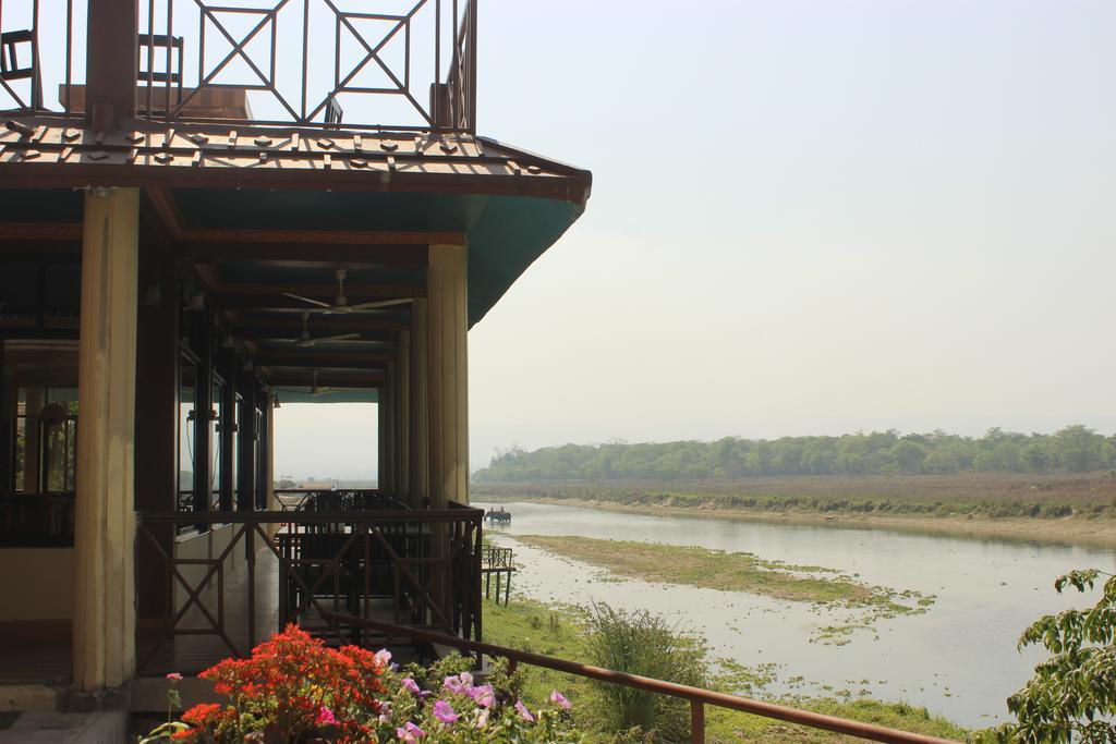 Jungle Wildlife Camp Hotel Sauraha Exterior foto