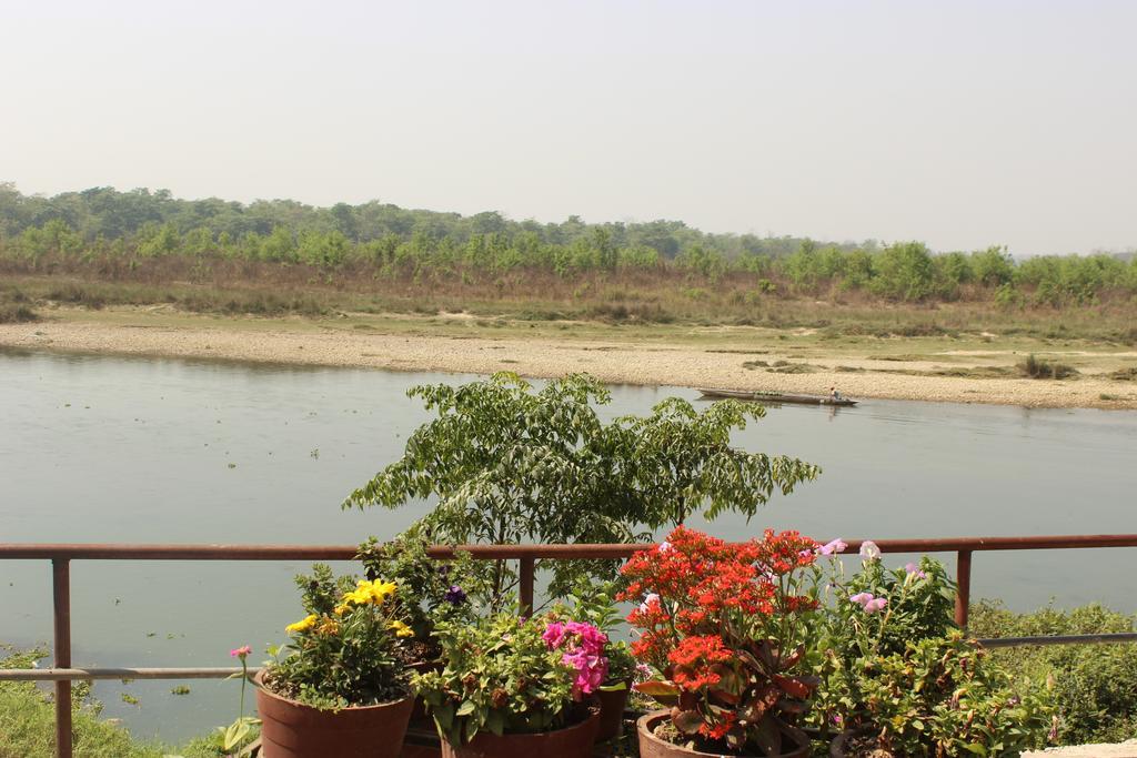 Jungle Wildlife Camp Hotel Sauraha Exterior foto