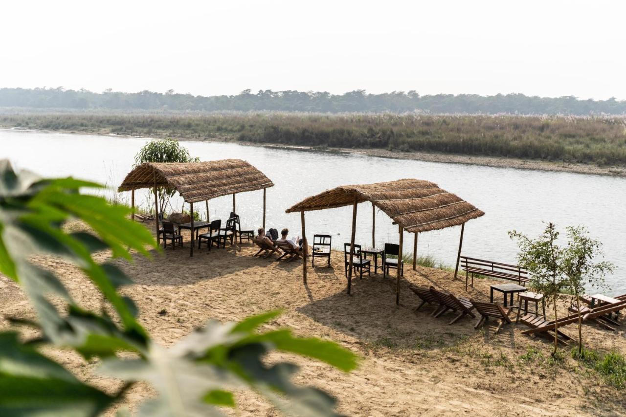 Jungle Wildlife Camp Hotel Sauraha Exterior foto
