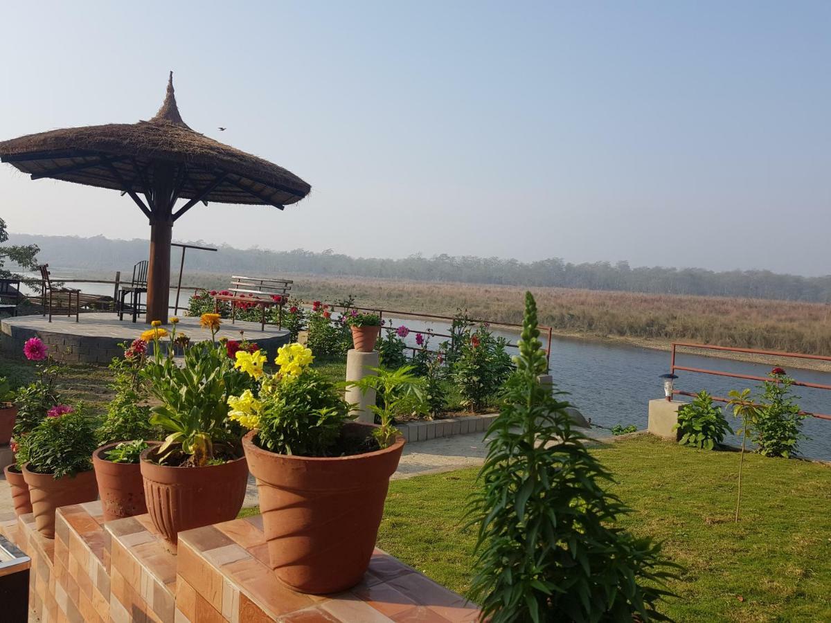 Jungle Wildlife Camp Hotel Sauraha Exterior foto